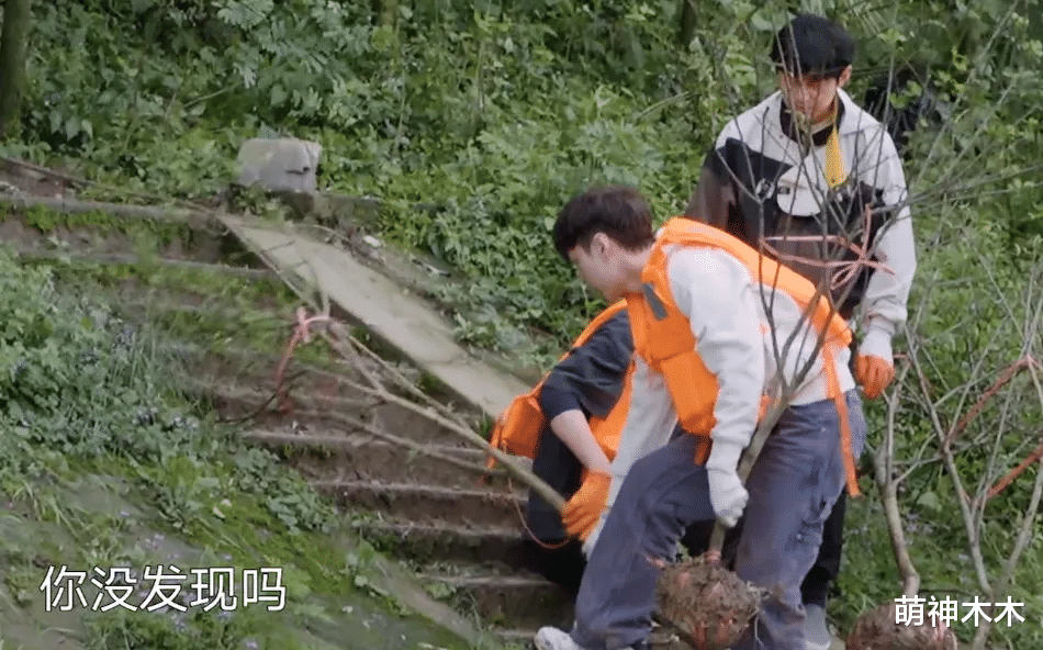 何炅|《向往5》何炅变化太大,吐槽嘉宾堪称刻薄,再也不是老好人了