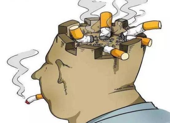 戒烟|人体一天可承受多少支烟？不要超过这个数，别不自知