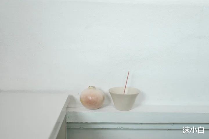 |丁克夫妻+一只零食狗的家，和谐的极简，配天然的手工，宅上24h！
