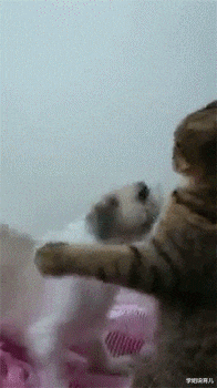 学姐说育儿|“女友在健身房工作，女教练订做的工作服，怪不得一节课800”，哈哈哈哈～