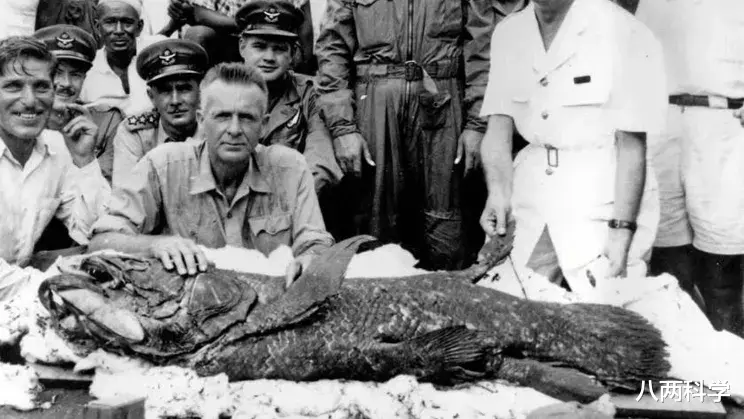 八两科学 8个鳍,躲进深海4.2亿年,这条鱼或是全陆生脊椎动物的祖先!