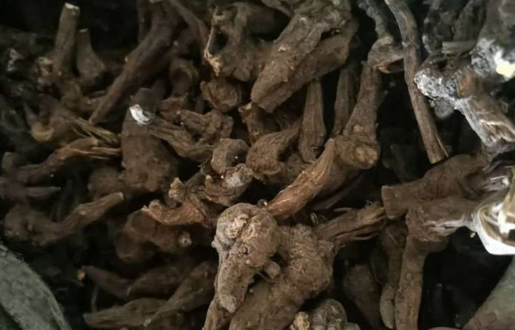 枸杞|身边的中草药——28味毒性中药