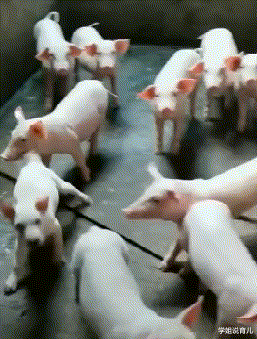 学姐说育儿|兄弟,不要以为关上车窗就能为所欲为了,我在外面都看见了