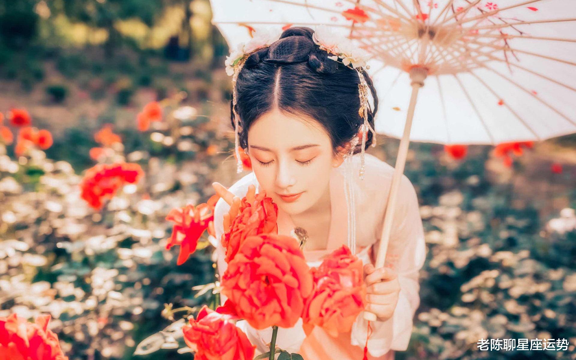 老陈聊星座运势 从11月1日开始,运势如虹,会福星高照,龙马精神的三大生肖