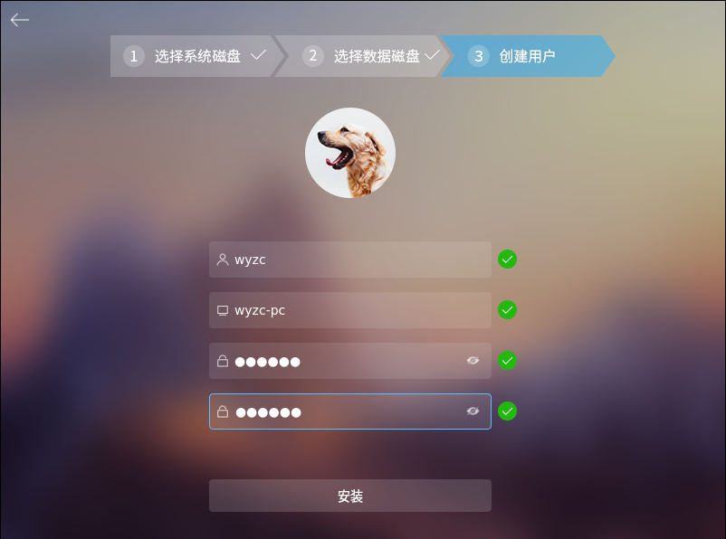 操作系统|悄悄干大事，在自己的电脑上安装中兴新支点操作系统（图文）