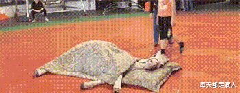 每天都是潮人|姑娘,穿白衣服就别参加泼水节了,看着多尴尬啊