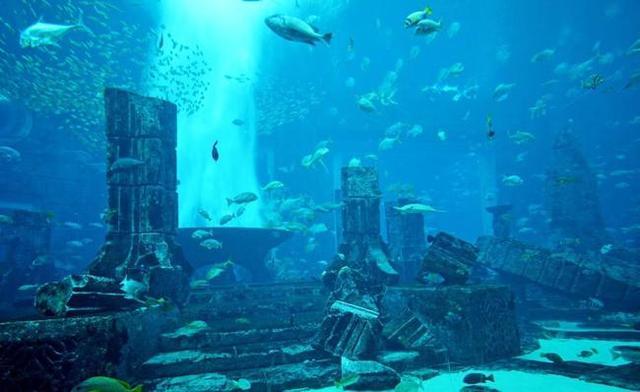 海底发现神秘建筑,建造这个遗迹的人类应该早在地质活动中灭绝了