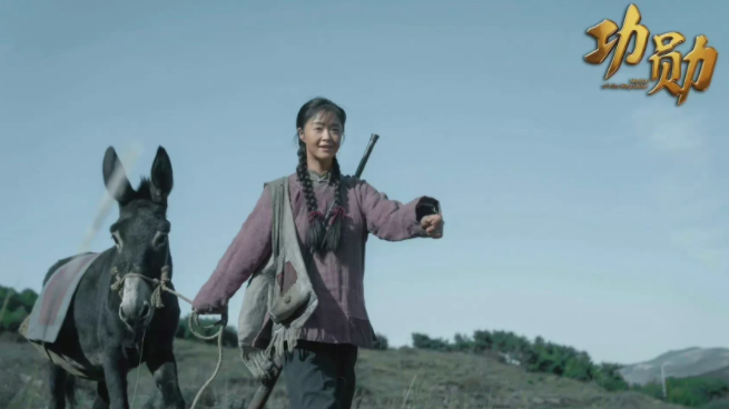 蒋欣|功勋：蒋欣扮演农村妇女申纪兰，优势和劣势都一样明显！