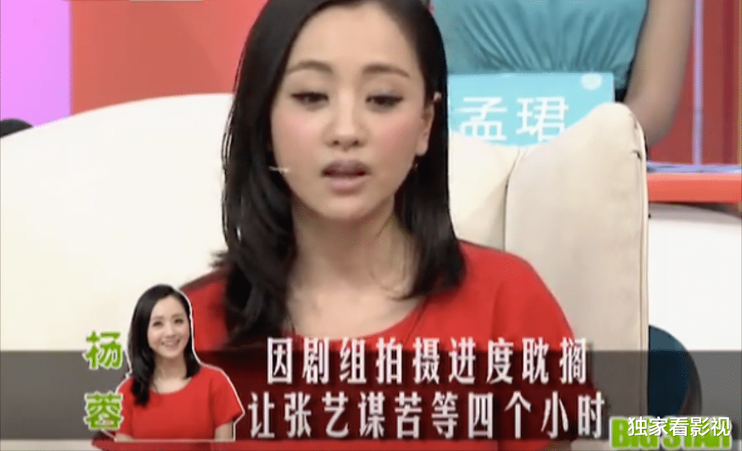 杨蓉|错过张艺谋，没演成《玉观音》的杨蓉，能凭《当家主母》大火吗
