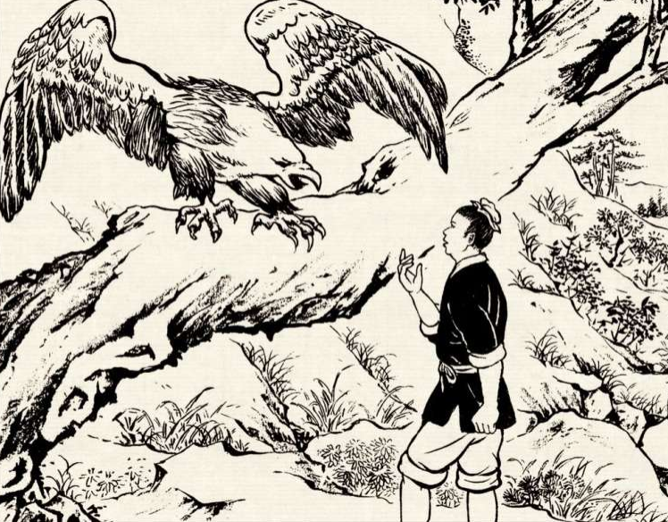 风云视角|民间故事：樵夫深山无意中救下一只狐狸，没想到因此救了父亲性命