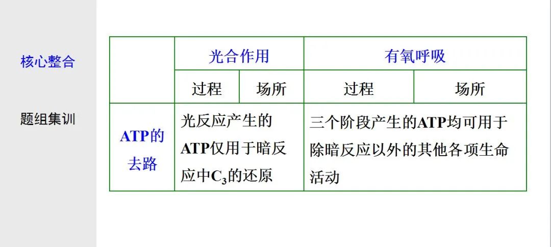 初中生物：光合作用与细胞呼吸知识点详解，快保存！