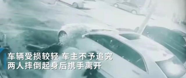 动漫画萌君 街头一对男女亲热过猛、不慎将车主轿车撞扁，河南大哥：不用赔偿