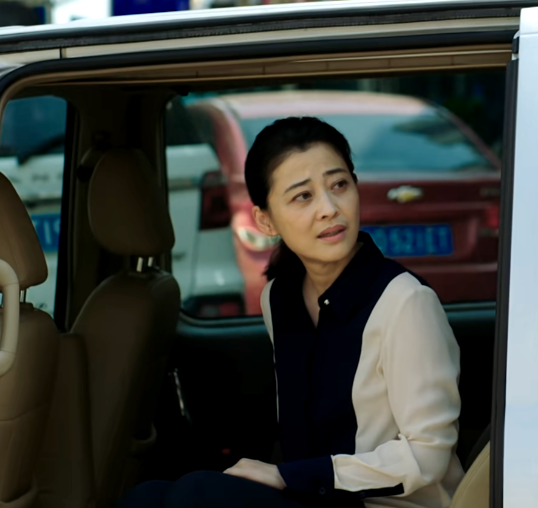 梅婷|播1集豆瓣五星飘满屏，梅婷令观众成功入坑，央视又拿到收视王牌