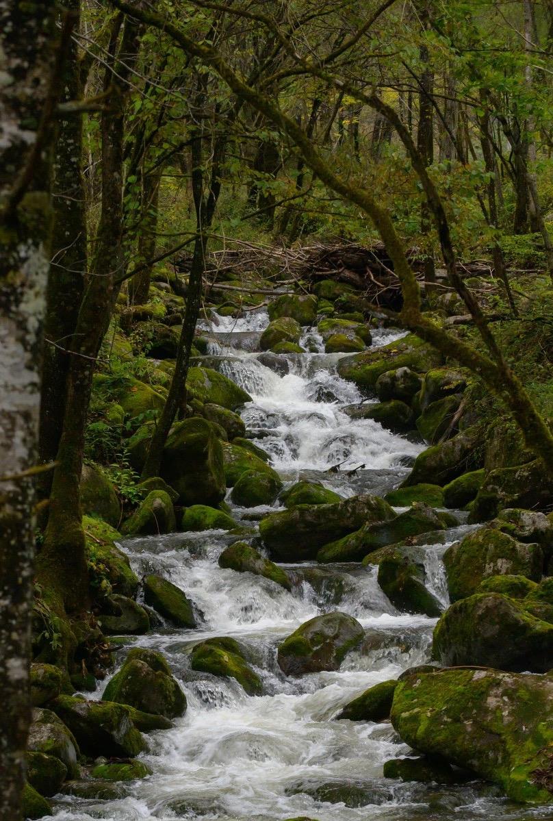 琳妹儿说|陕西这座城市，被评为高性价比旅游城市，却被西安遮住光芒