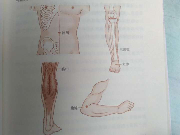 养生|血瘀体质究竟是什么状况