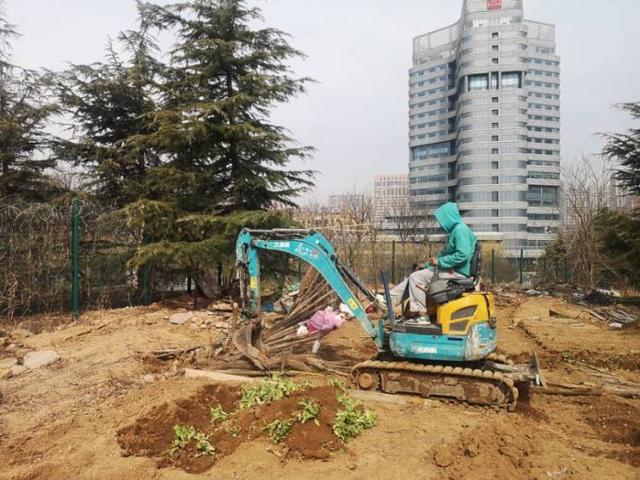 半岛新闻客户端 空地变菜地！居民私自“开荒”，执法人员忙清理