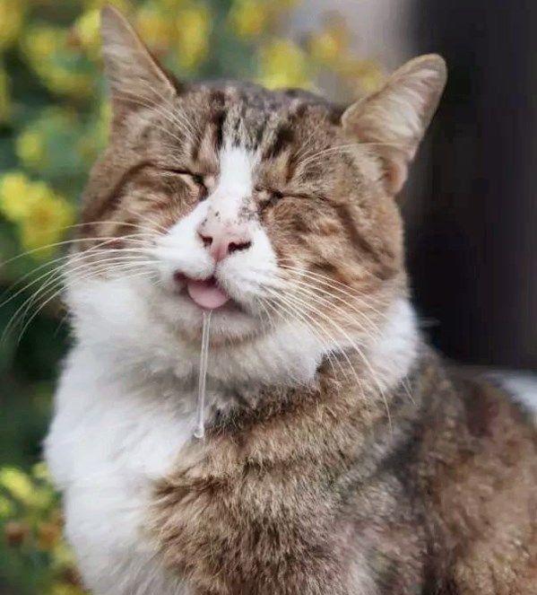 |分享几个幽默搞笑小段给大家