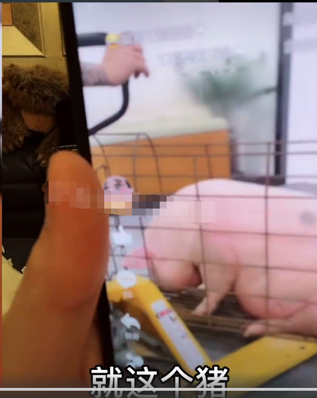 殷世航|殷世航被封23万天真不冤！订婚被曝有剧本，连爸爸都是花钱雇的