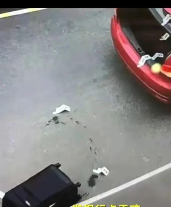 蝙蝠 “皮箱藏尸案”出租车司机被质疑：为何不追嫌疑人？车牌号被曝光