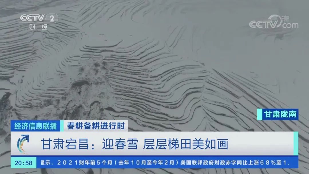 陇南广播电视台 甘肃宕昌:迎春雪,层层梯田美如画