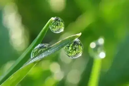 凡人凡举凡思|人生最艰难的成功，不是超越别人，而是战胜自己