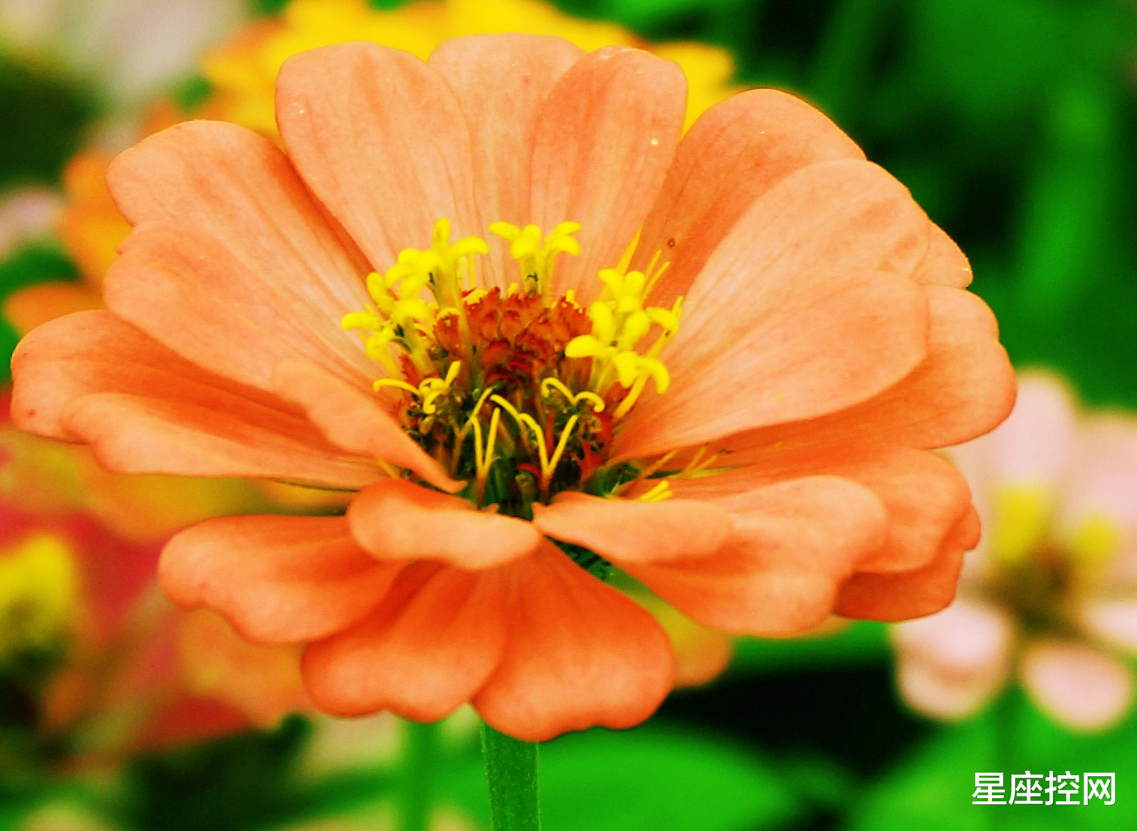 |哪些月份出生的人,勇于承担错误,职场中能乘风破浪,迎接新惊喜