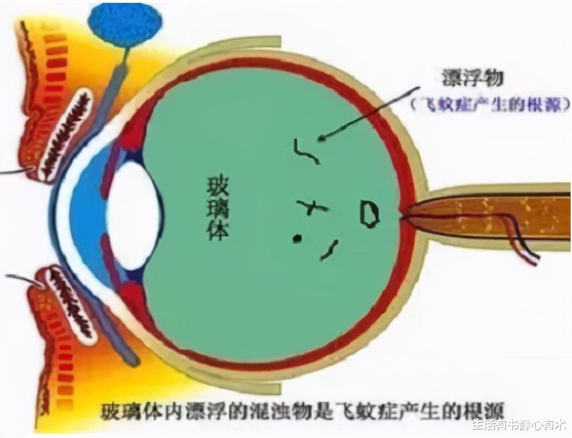 生活有书静心有术|涨知识,盘点那些在我们身上的冷知识