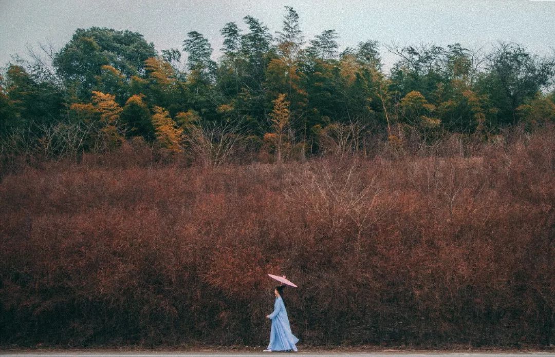 乌前旗文体旅游广电 感悟人生:活的有趣,才是人性的最高境界