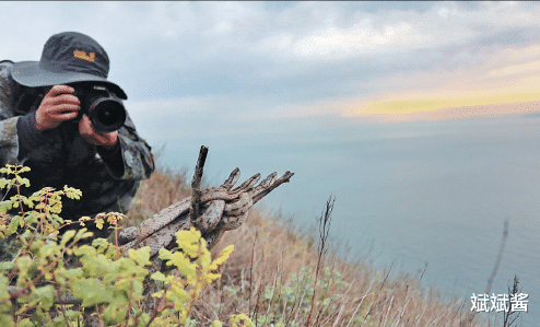 斌斌酱|大连蛇岛是怎样存在的？据说上面有两万条蛇，如果放两只蜜獾上去，能将蛇吃完吗？