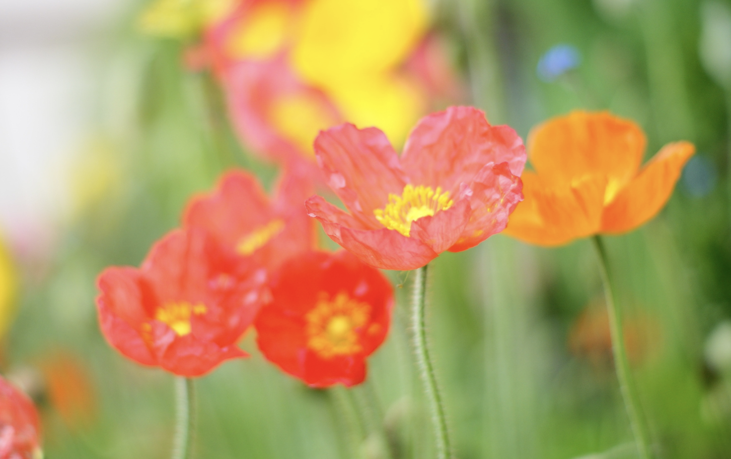 生肖夜读|9月，贵人提携，天赐鸿运，3生肖抓住时机，浴火重生，实现翻身