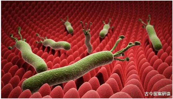 穴位|消化科主任：比大蒜暖胃杀菌，平日放肆吃，或能修复胃黏膜清细菌