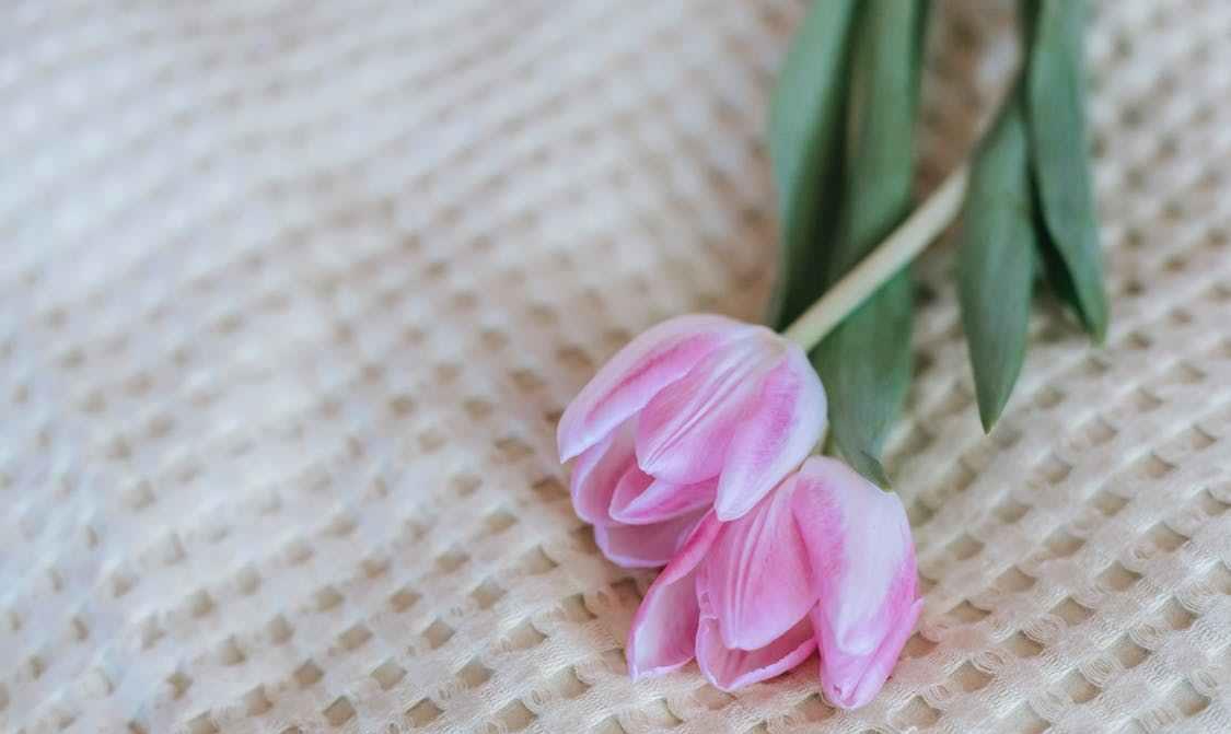 开心生活助手|从现在开始，停止做三件事，才能走桃花运