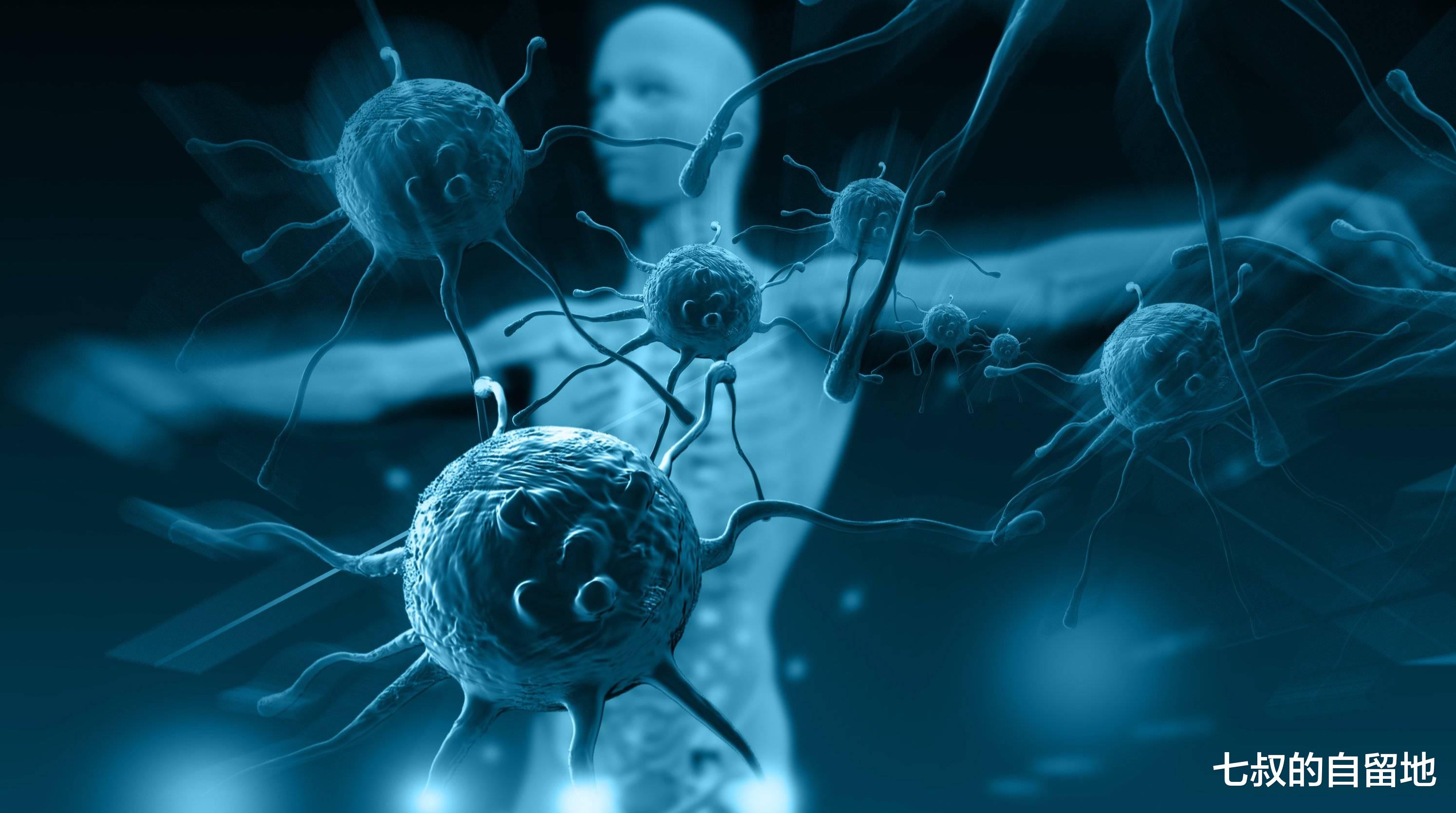 免疫系统 新冠状病毒什么时候可以消失呢？