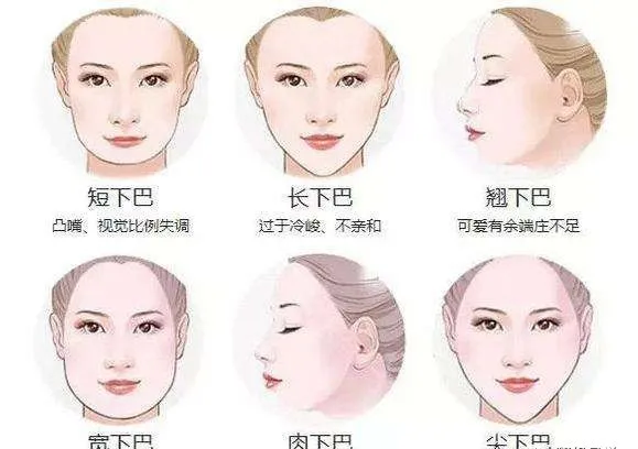 诚然命理 面相下巴的类型与财运