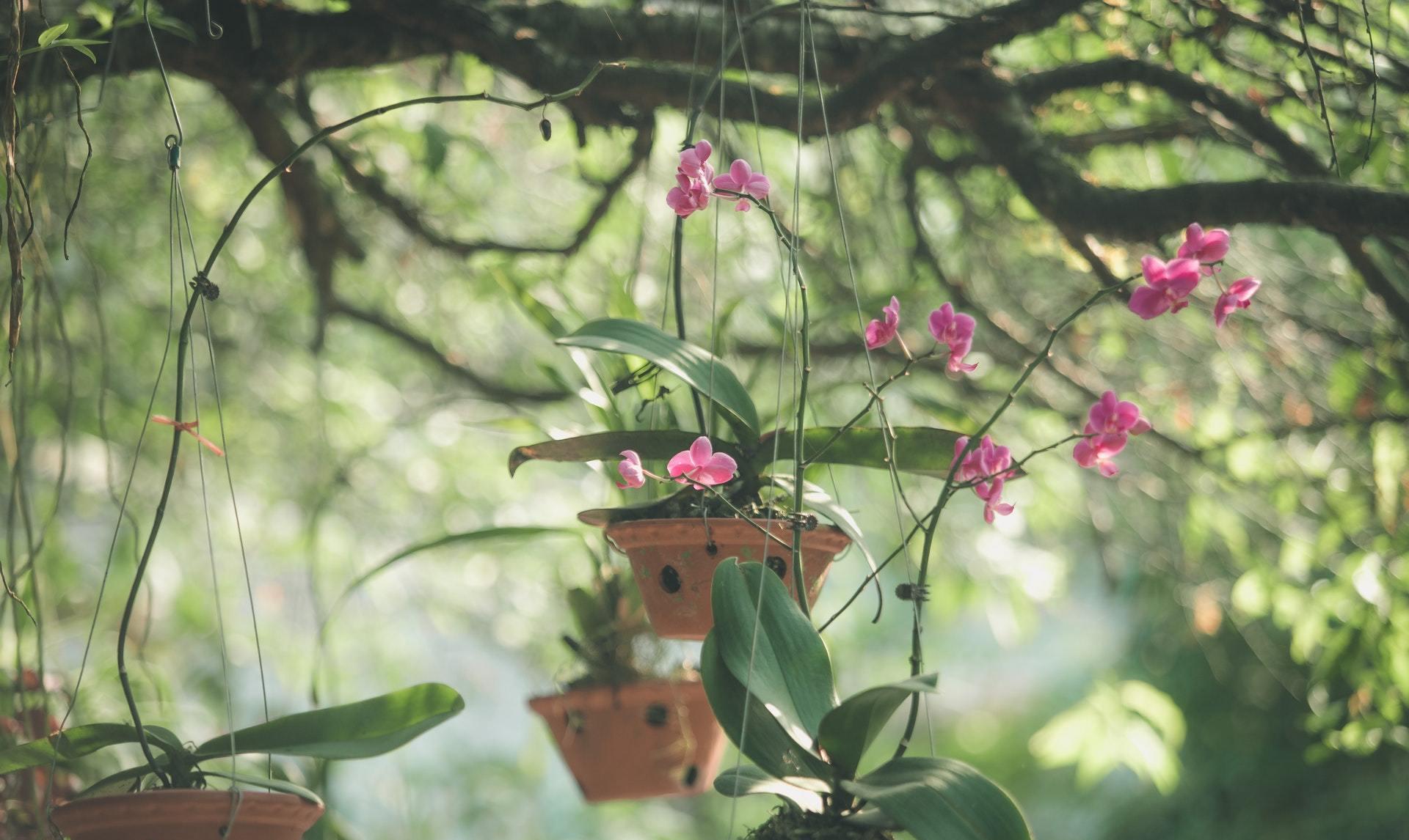 开心生活助手|最后你会明白：你嫁的，未必是你爱的