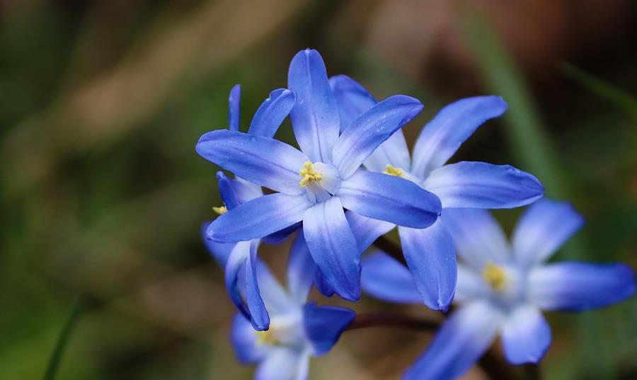 射手座|2021年射手座事业运势，努力地学习，职场发展顺风顺水，升职加薪