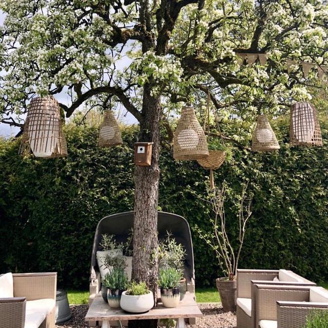 家居师太的 英国乡下田园生活:门前庭院,绿树成荫,目之所及之处皆是景!