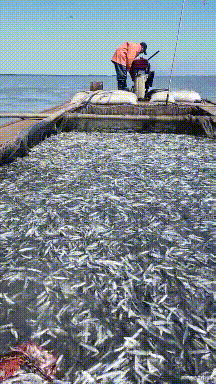 女友出差回来从她包里翻出这个,干嘛用的?网友暗示我被绿了