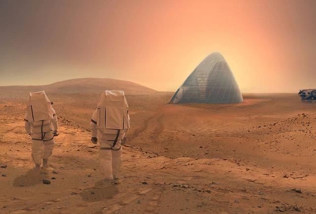 2008年,美国探测器拍到火星有大树和森林?照片不假却很诡异