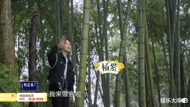 杨紫|《向往5》蘑菇屋限定“彭于晏”再次上线，有谁注意杨紫的表情？