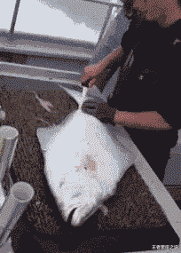 王者星座之说|女同学摆地摊被我遇到了，全是她用过的东西，你们说我该选哪个呢？哈哈哈哈