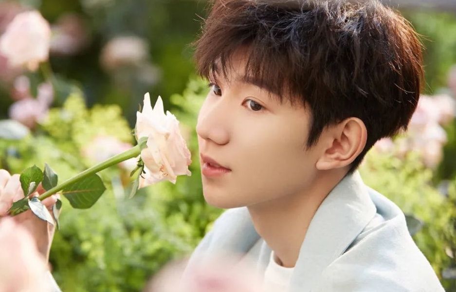 周深|王俊凯悬疑剧即将来袭,搭档张译“超高智商”破案,人设堪称一绝