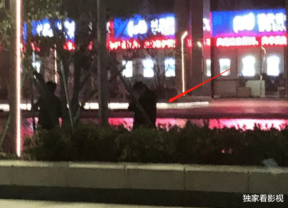 华少|吐血后发胖，因高以翔内疚，台柱子华少失宠？节日回家晒三胎儿子