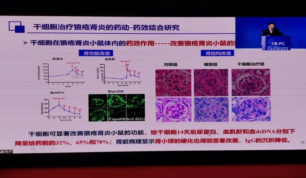 彩虹医生 影视剧中，“女主”病重只能进行干细胞移植，而它为啥能救命？