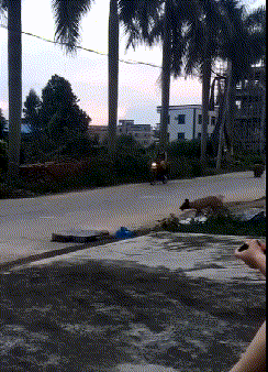 萌控孩|女朋友和她的闺蜜喝多了直接躺地上,我到底该怎么办呢?哇哈哈