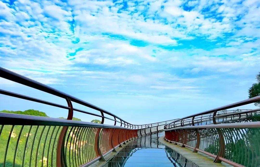 浙江省 陕西一处集山、水、林、寺于一体的景区，被誉为“陕西的九寨沟”