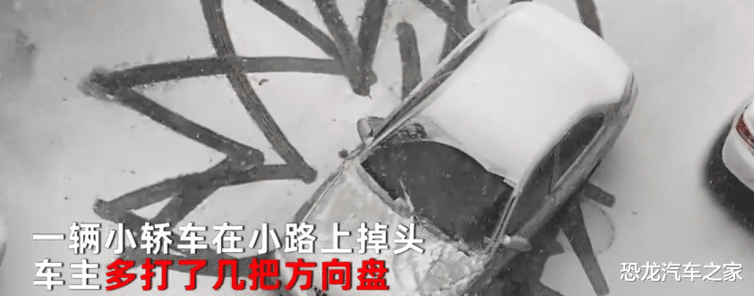 男子雪地掉头,车下惊现一幕,网友:真是掉头也不忘展示市花的魅力