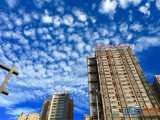 富顺快报 自贡发布紧急通知!限行解除!