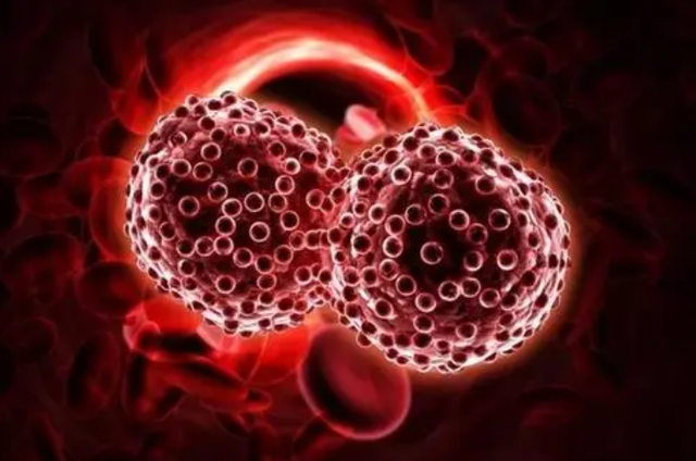 芋头|人类为什么至今无法攻克癌症？医生提到2点原因！