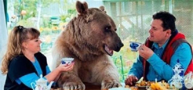 心悦雅萌|中国叫俄罗斯“战斗民族”，那么俄罗斯如何称呼中国？只有两个字